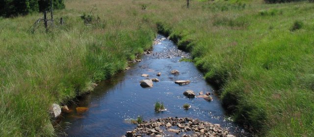 ilustrace na pozadí