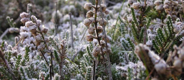 ilustrace na pozadí