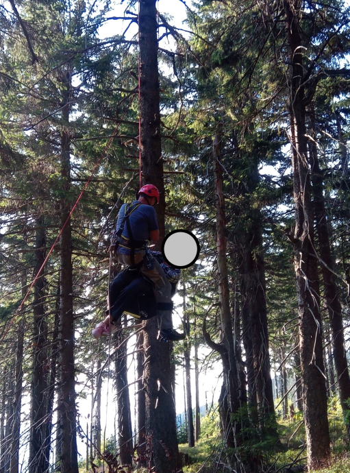 Záchrana paraglidistky pod Černou horou