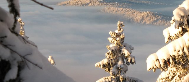 ilustrace na pozadí