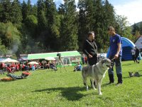 Ukázky kynologů na oslavách 80 let HS