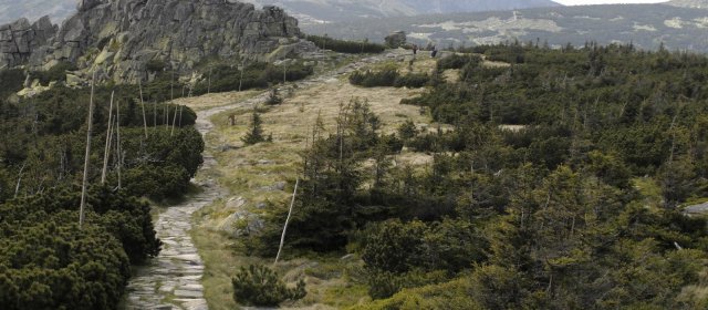 ilustrace na pozadí