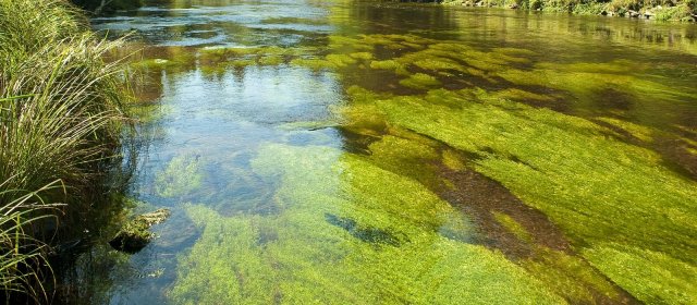 ilustrace na pozadí