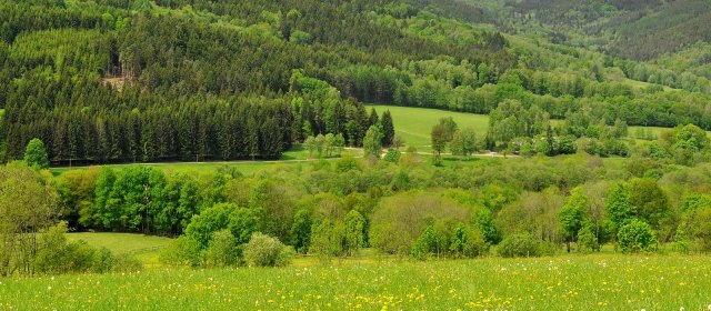 ilustrace na pozadí