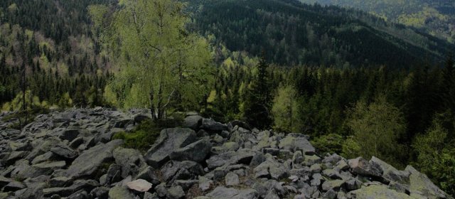 ilustrace na pozadí