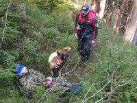 Atesty kynologické brigády 