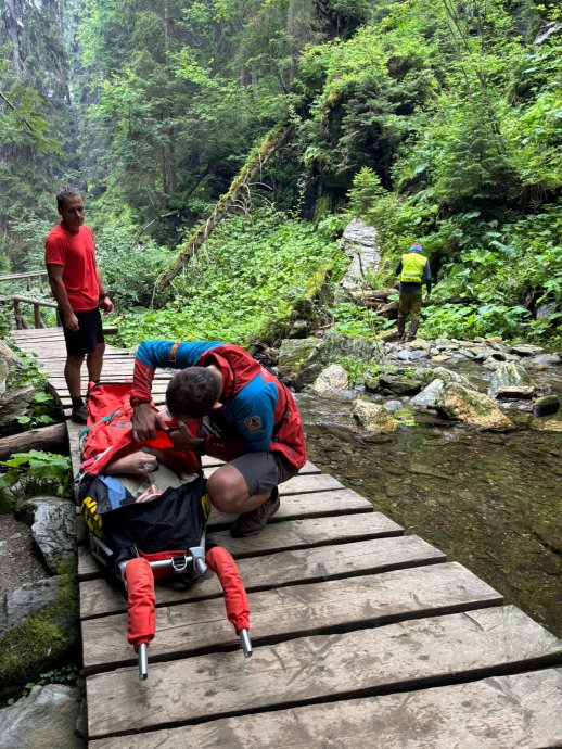Zásahy v Jeseníkách z minulého týdne