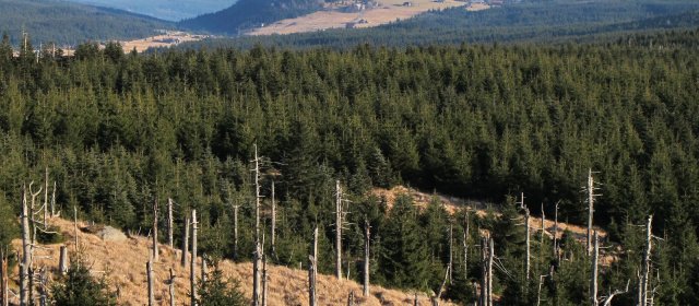 ilustrace na pozadí