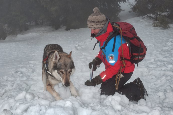 Psi HS našli letos už 3 pohřešované osoby