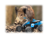 Poděkování za účast v boji proti africkému moru