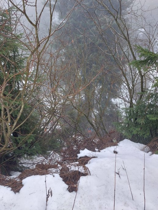 Pátrání bude pokračovat zítra ráno.