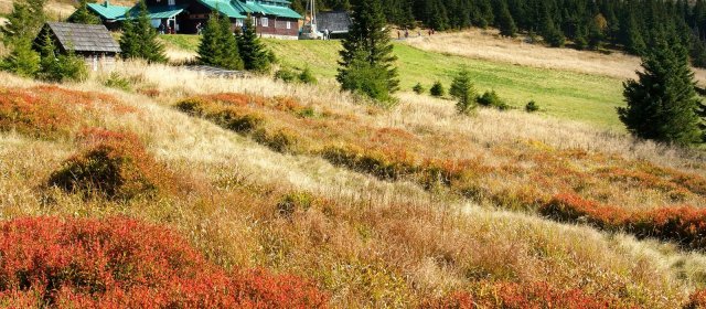 ilustrace na pozadí