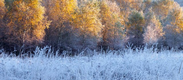 ilustrace na pozadí