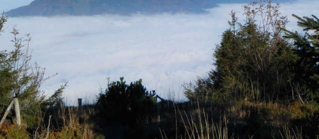 ilustrace na pozadí