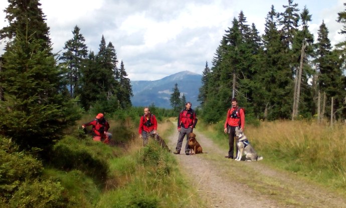 Rozsáhlé pátrání na žádost Policie ČR