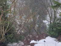 Pátrání bude pokračovat zítra ráno.