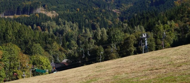 ilustrace na pozadí