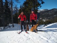 Kynologický výcvik v Korutanech