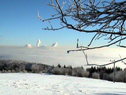 medenec panorama.jpg