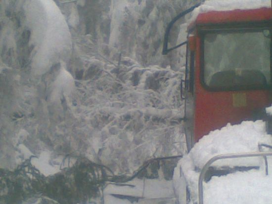 bezecky okruh 5 km i.jpg