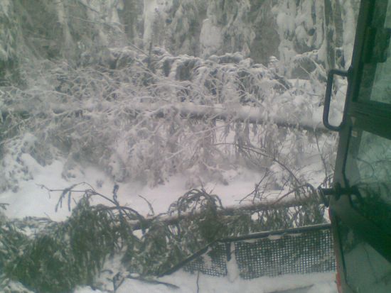 bezecky okruh 5 km.jpg