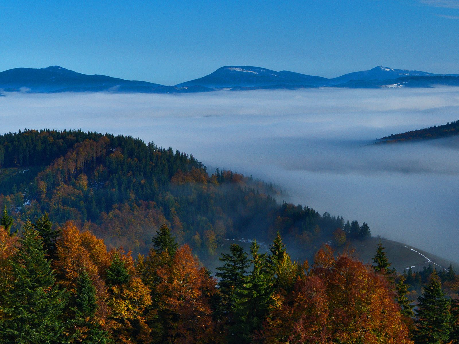 ilustrace na pozadí