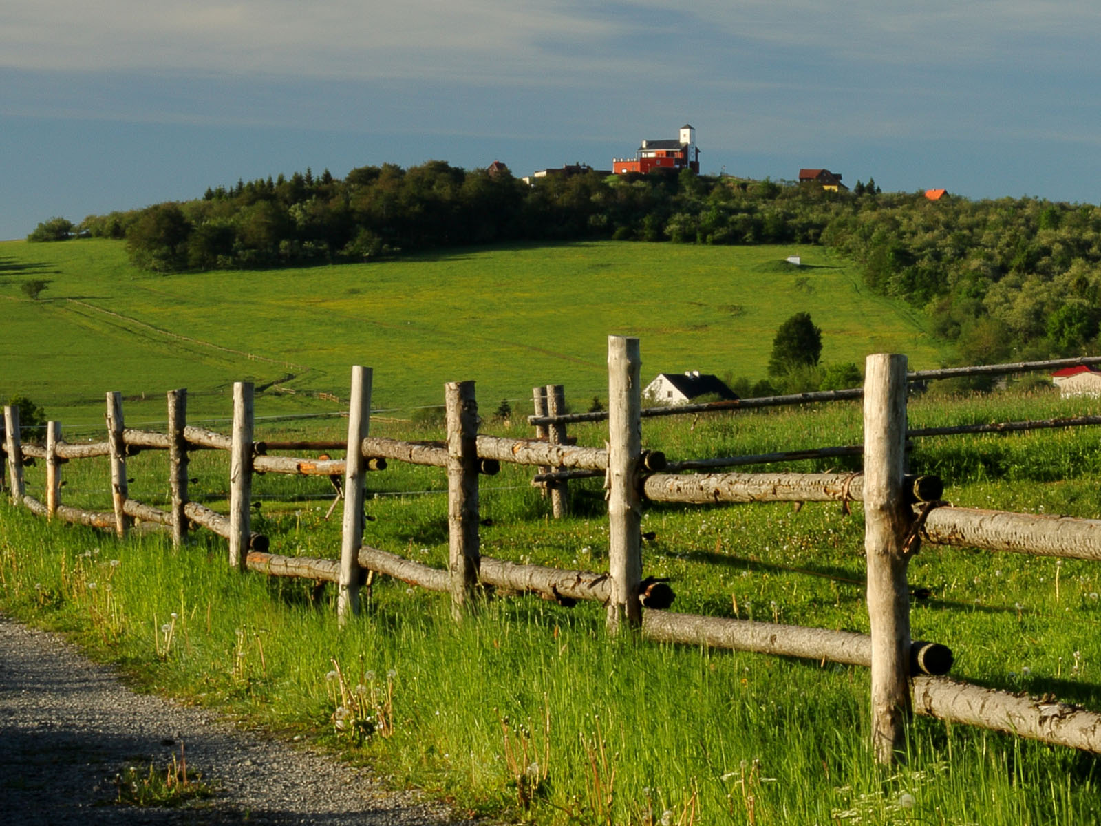 ilustrace na pozadí