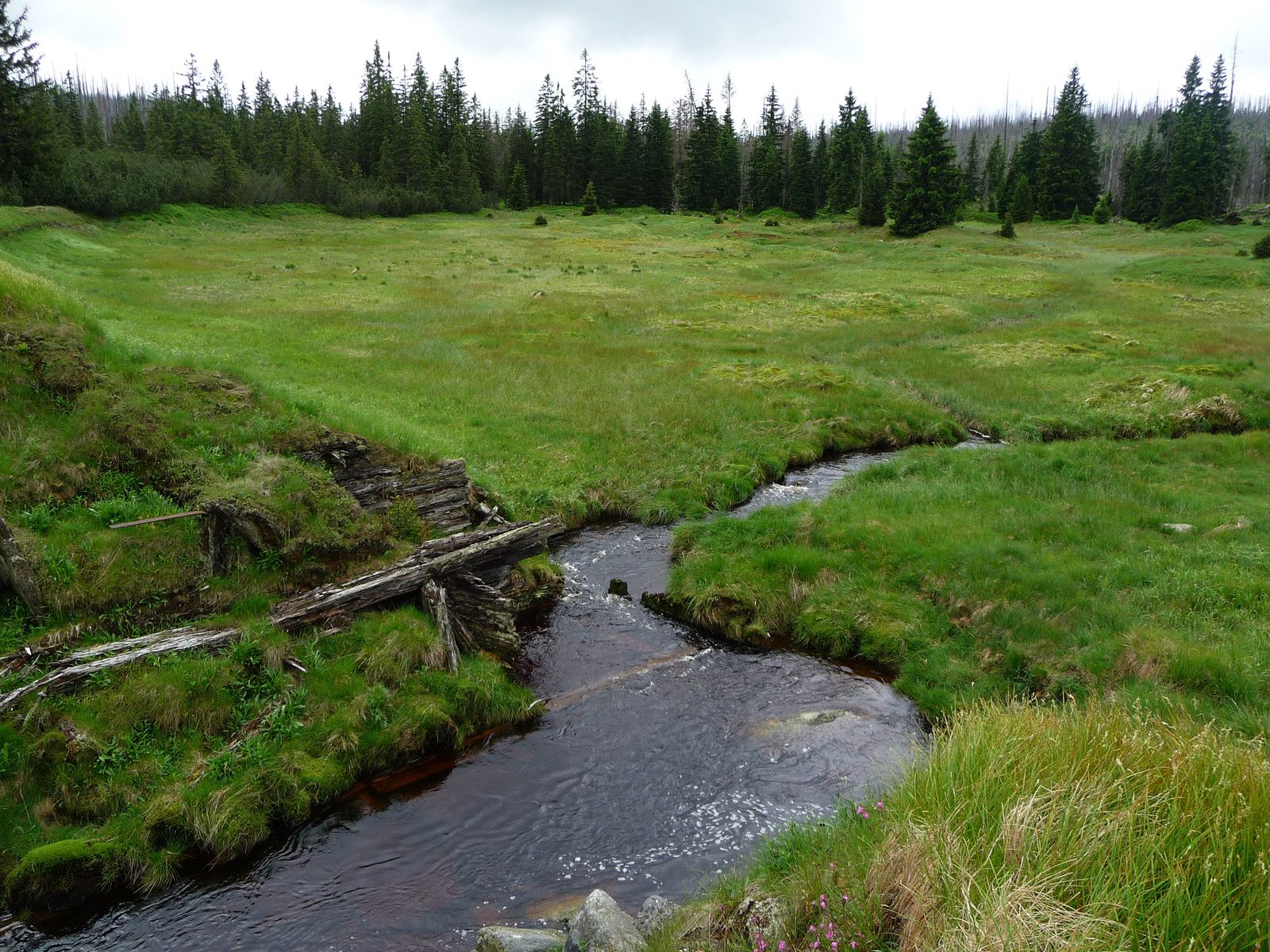 ilustrace na pozadí