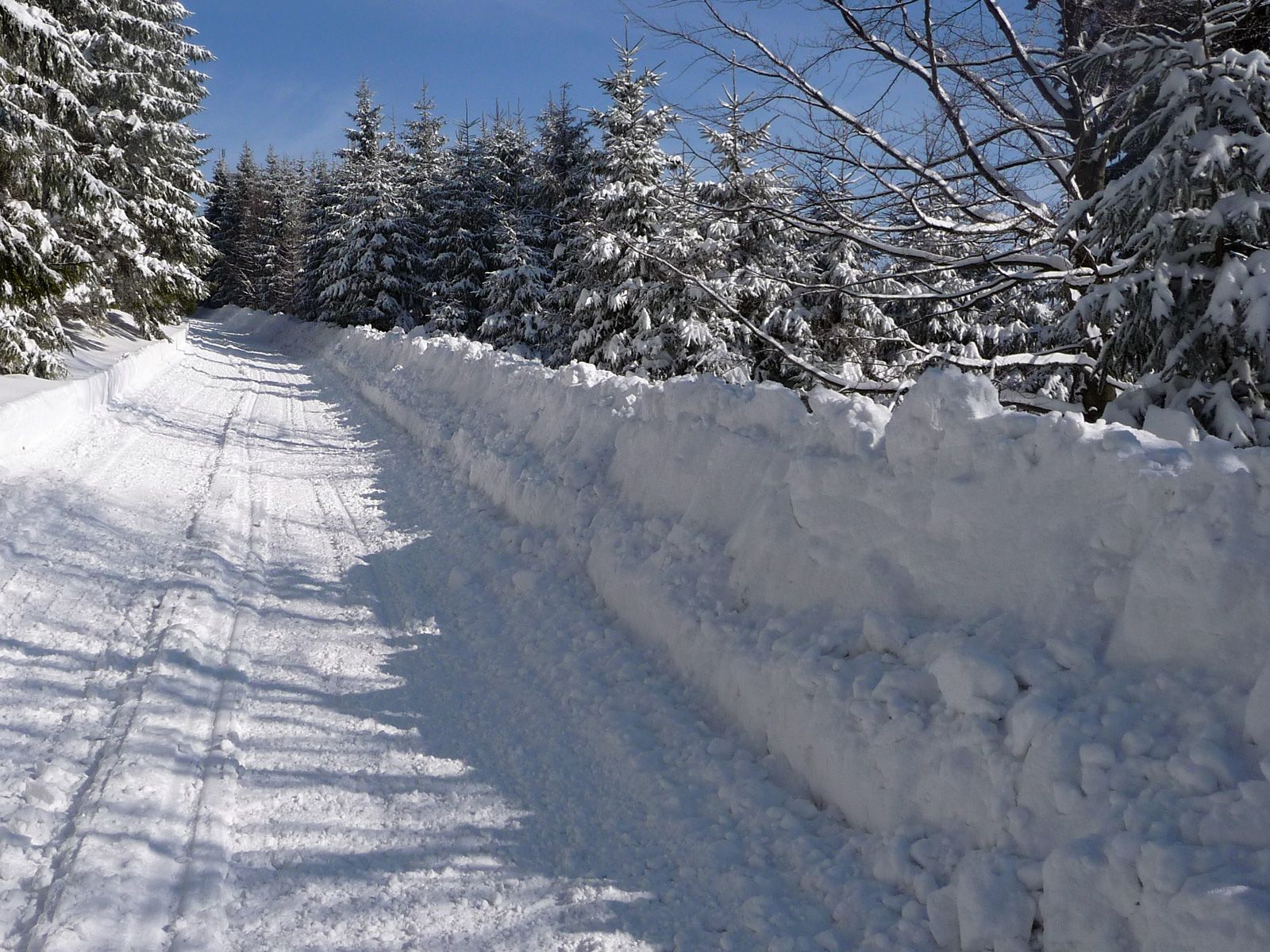 ilustrace na pozadí