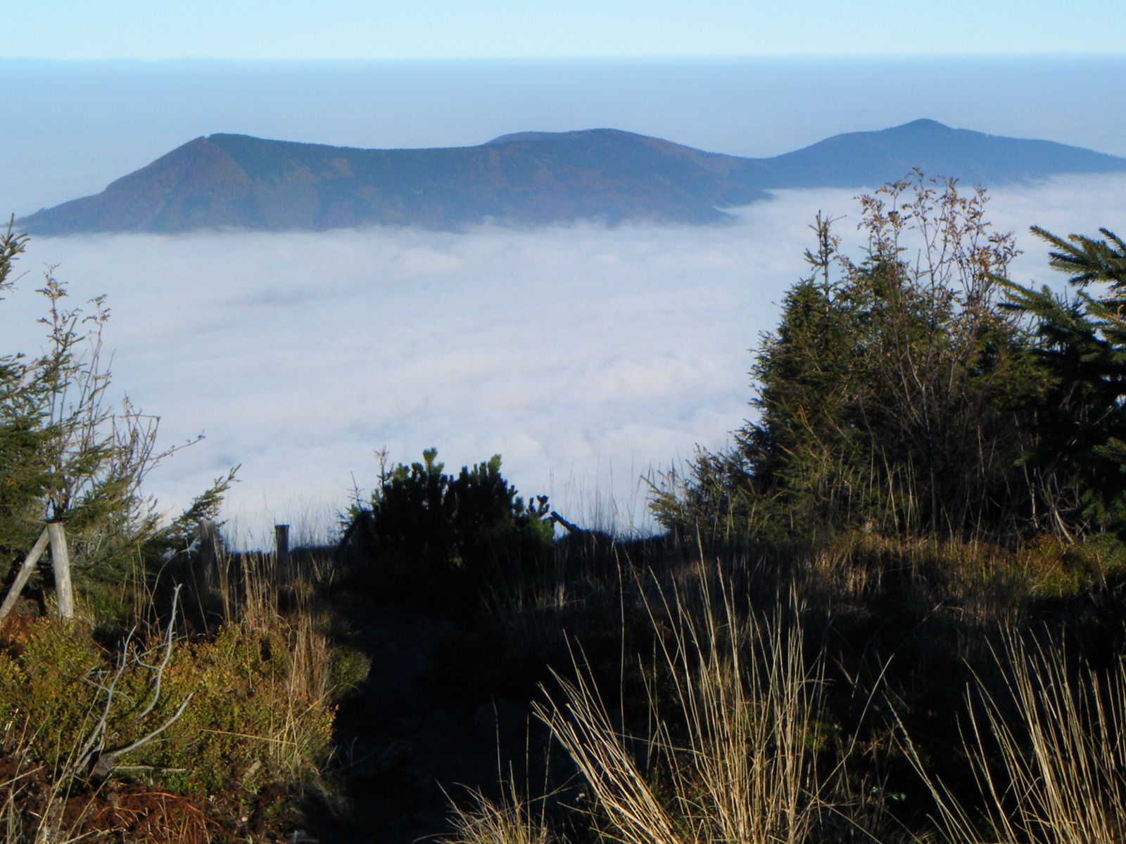ilustrace na pozadí
