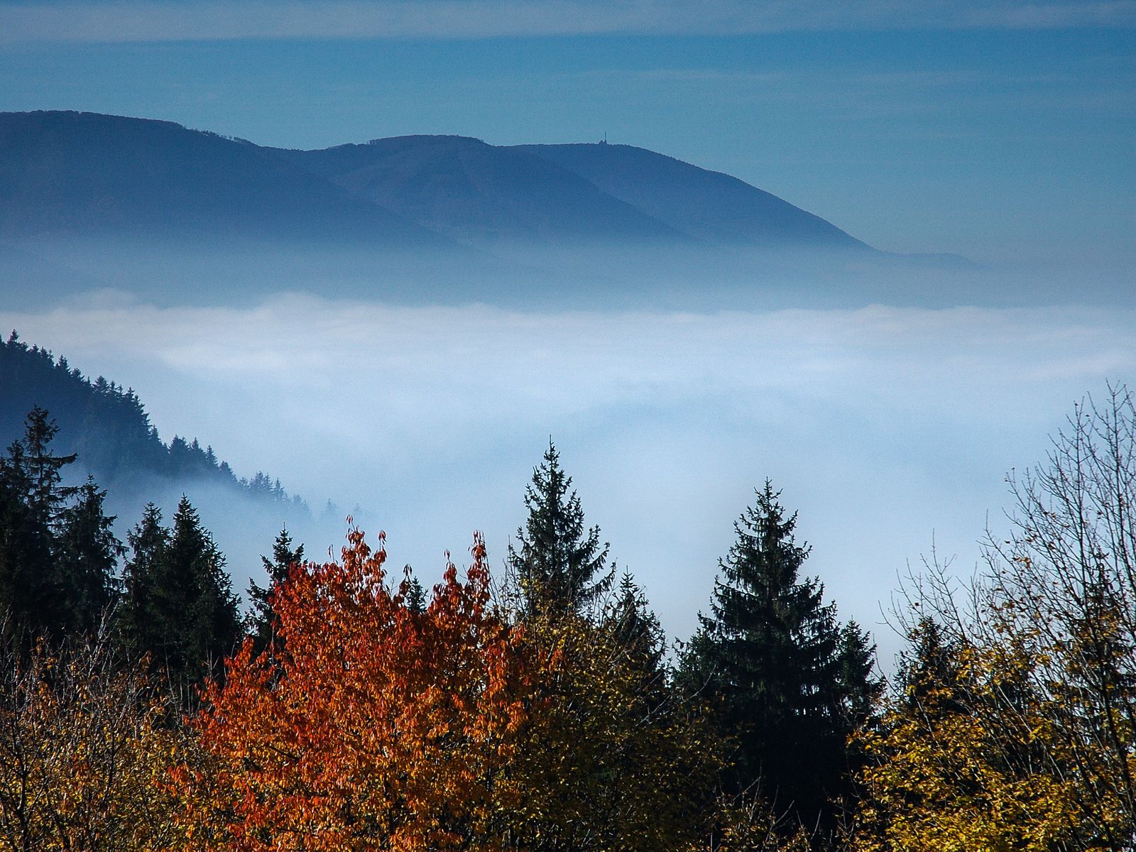 ilustrace na pozadí