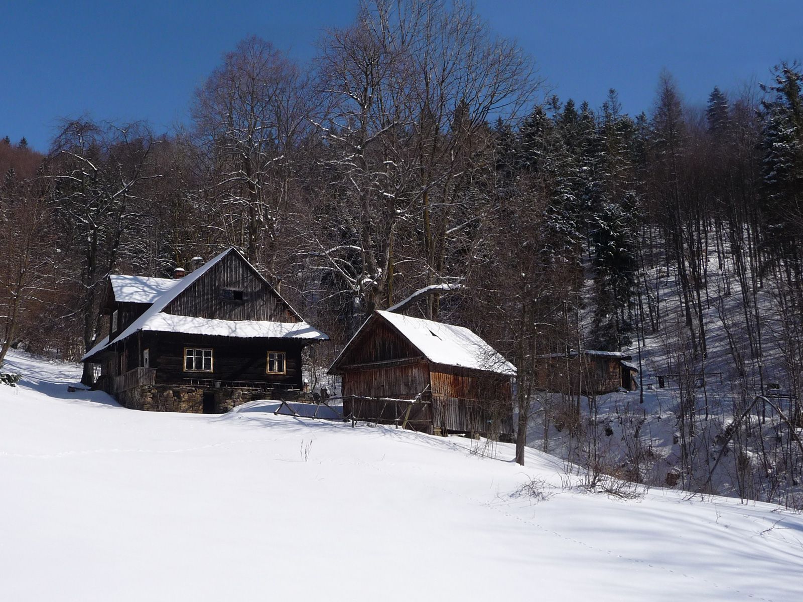 ilustrace na pozadí