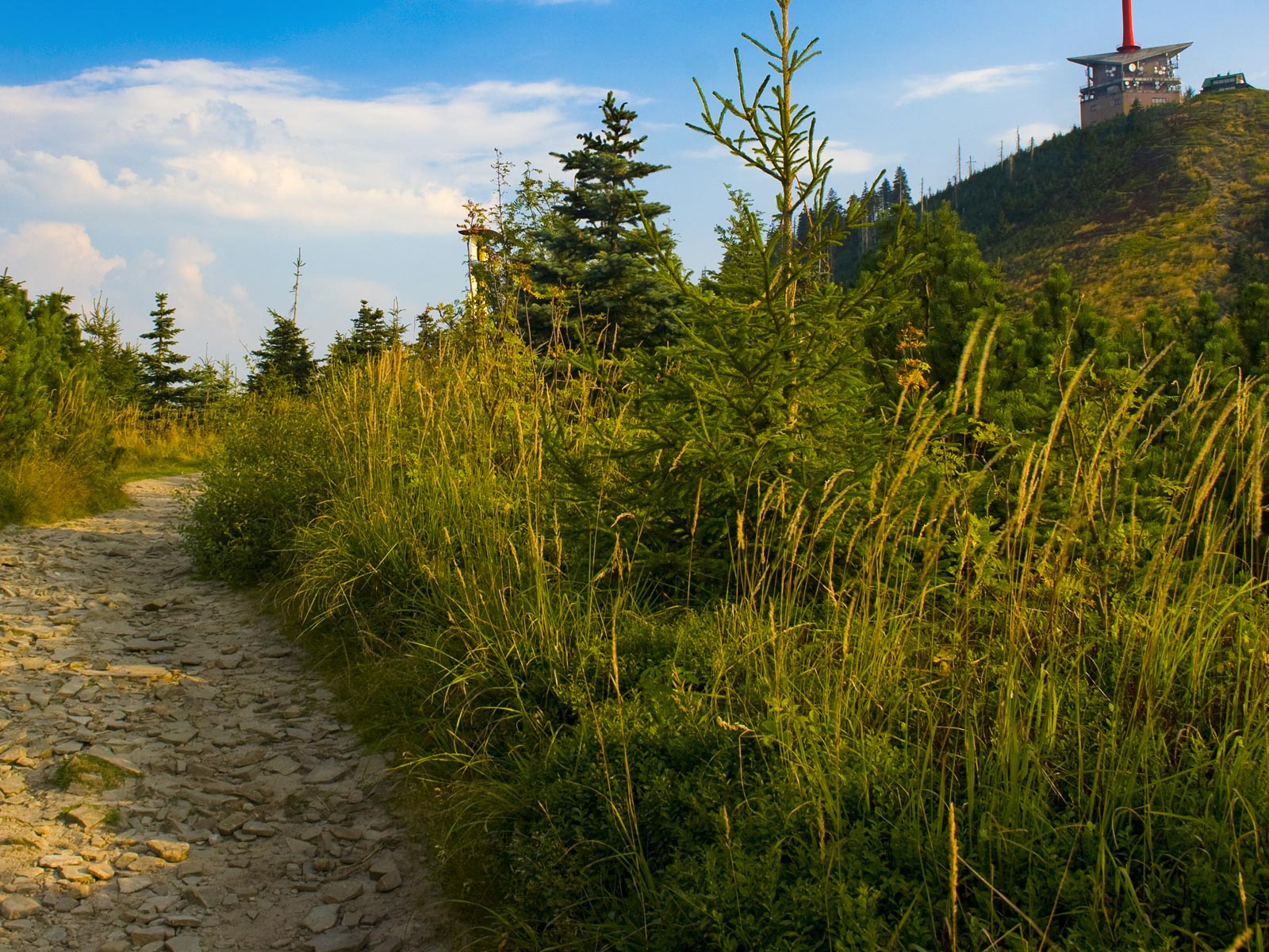 ilustrace na pozadí