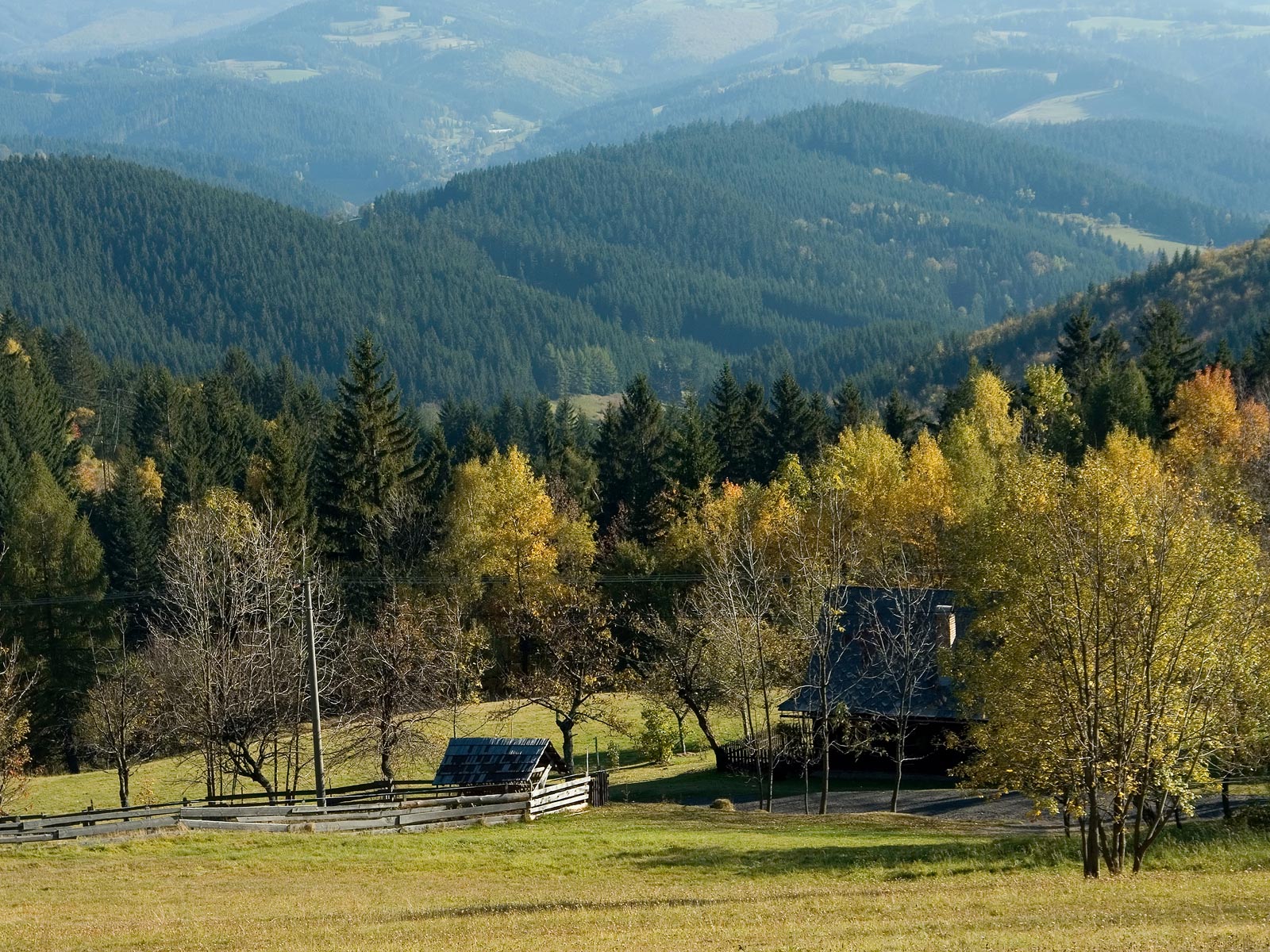 ilustrace na pozadí