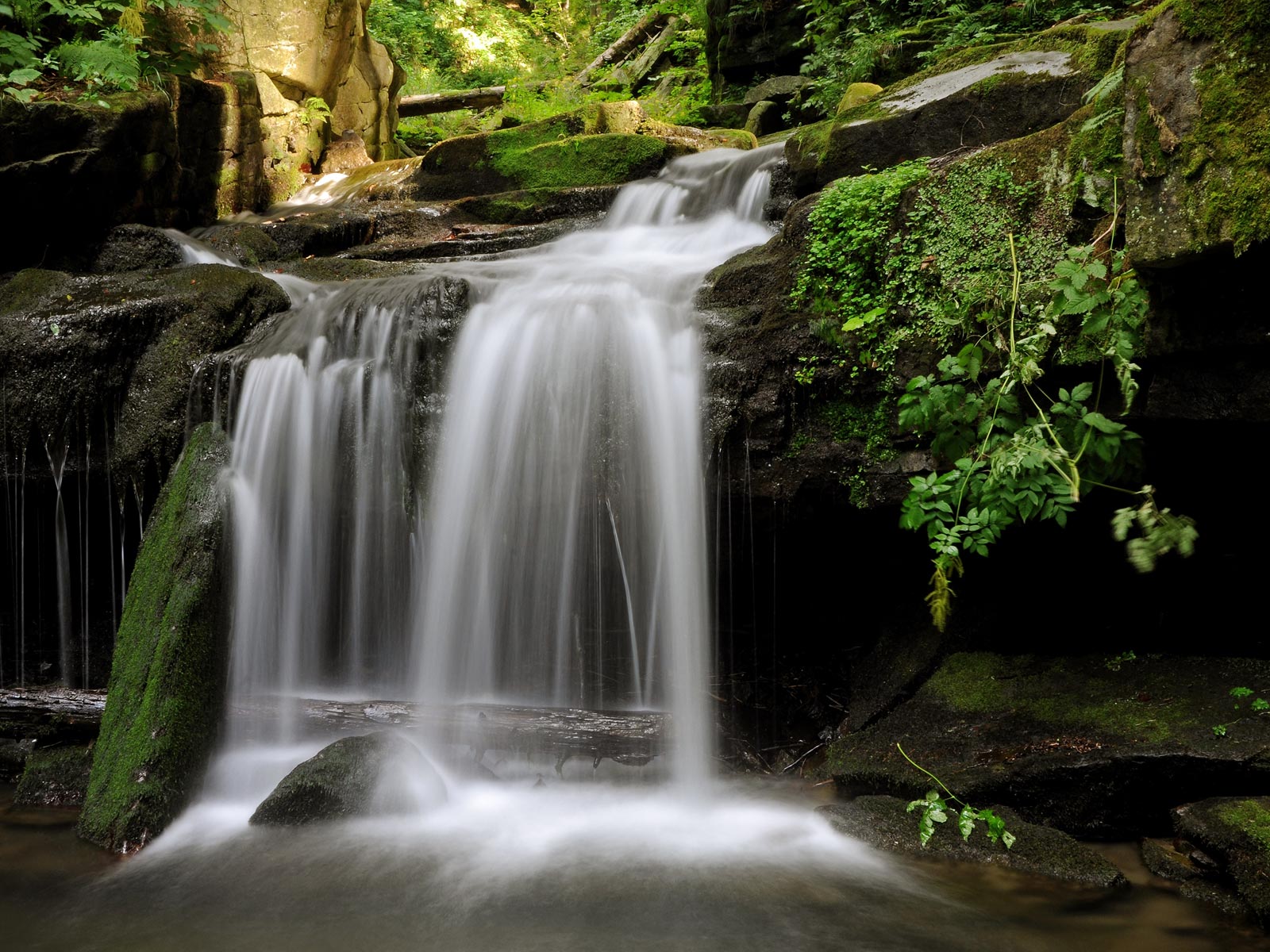 ilustrace na pozadí