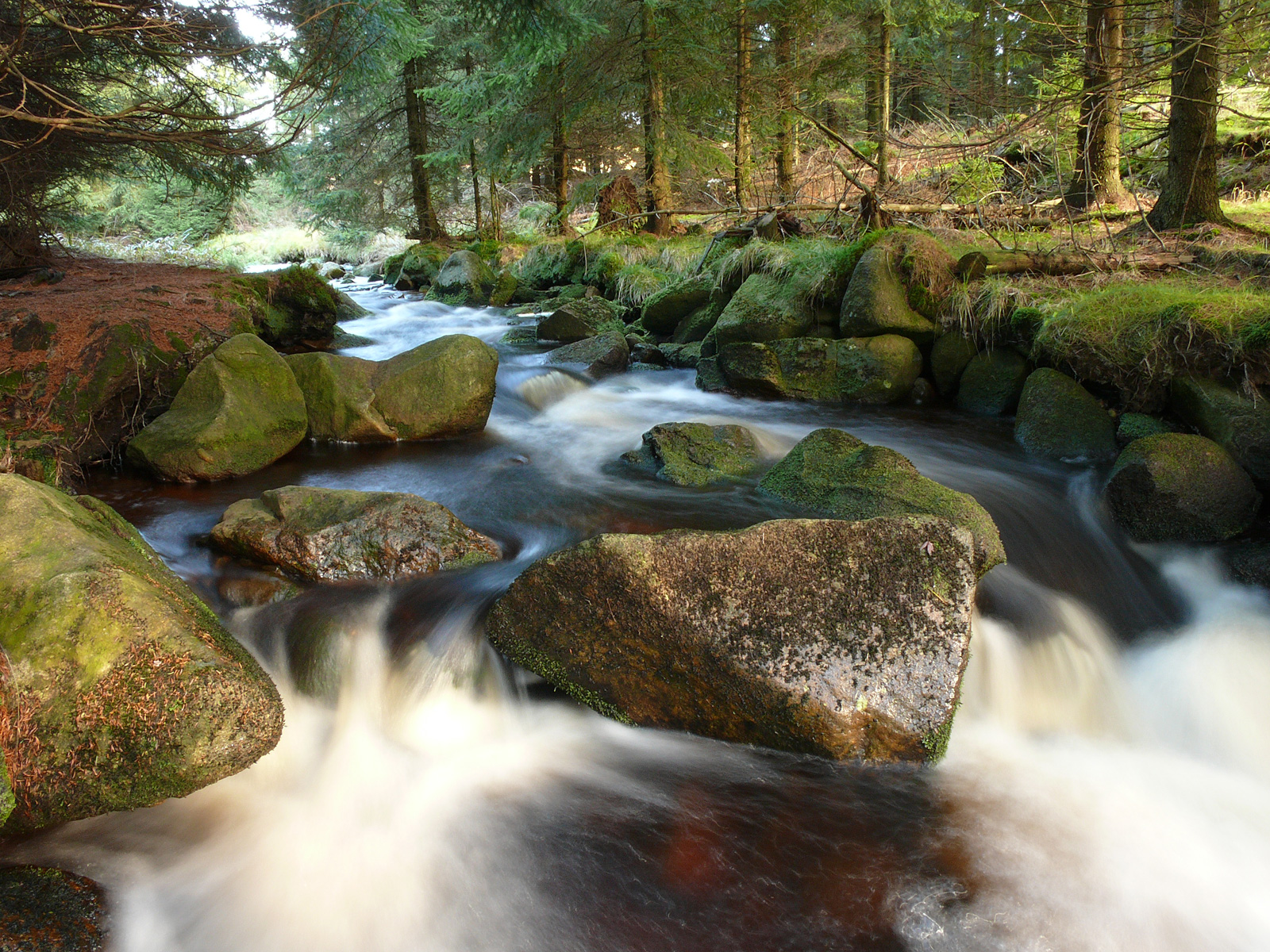 ilustrace na pozadí