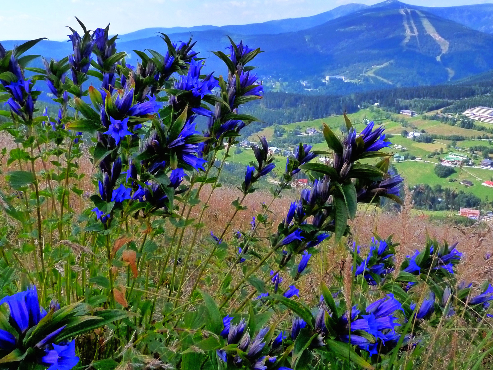 ilustrace na pozadí