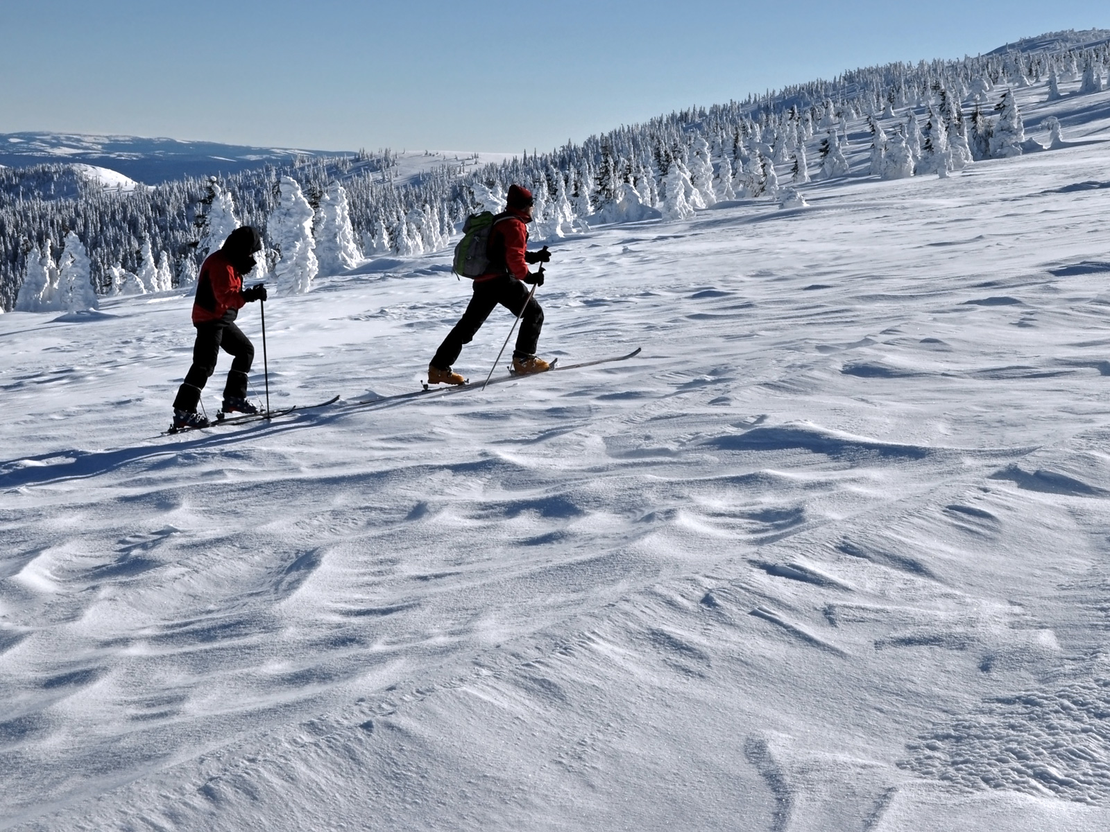 ilustrace na pozadí