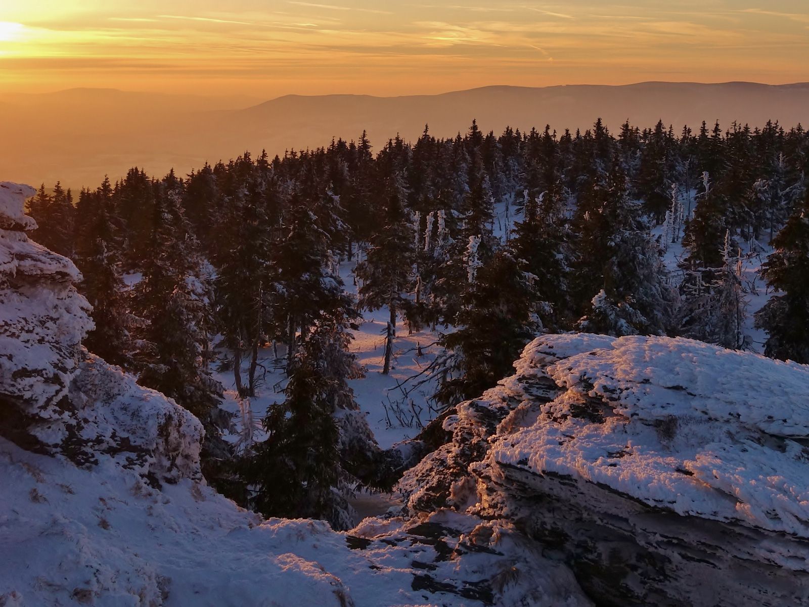 ilustrace na pozadí