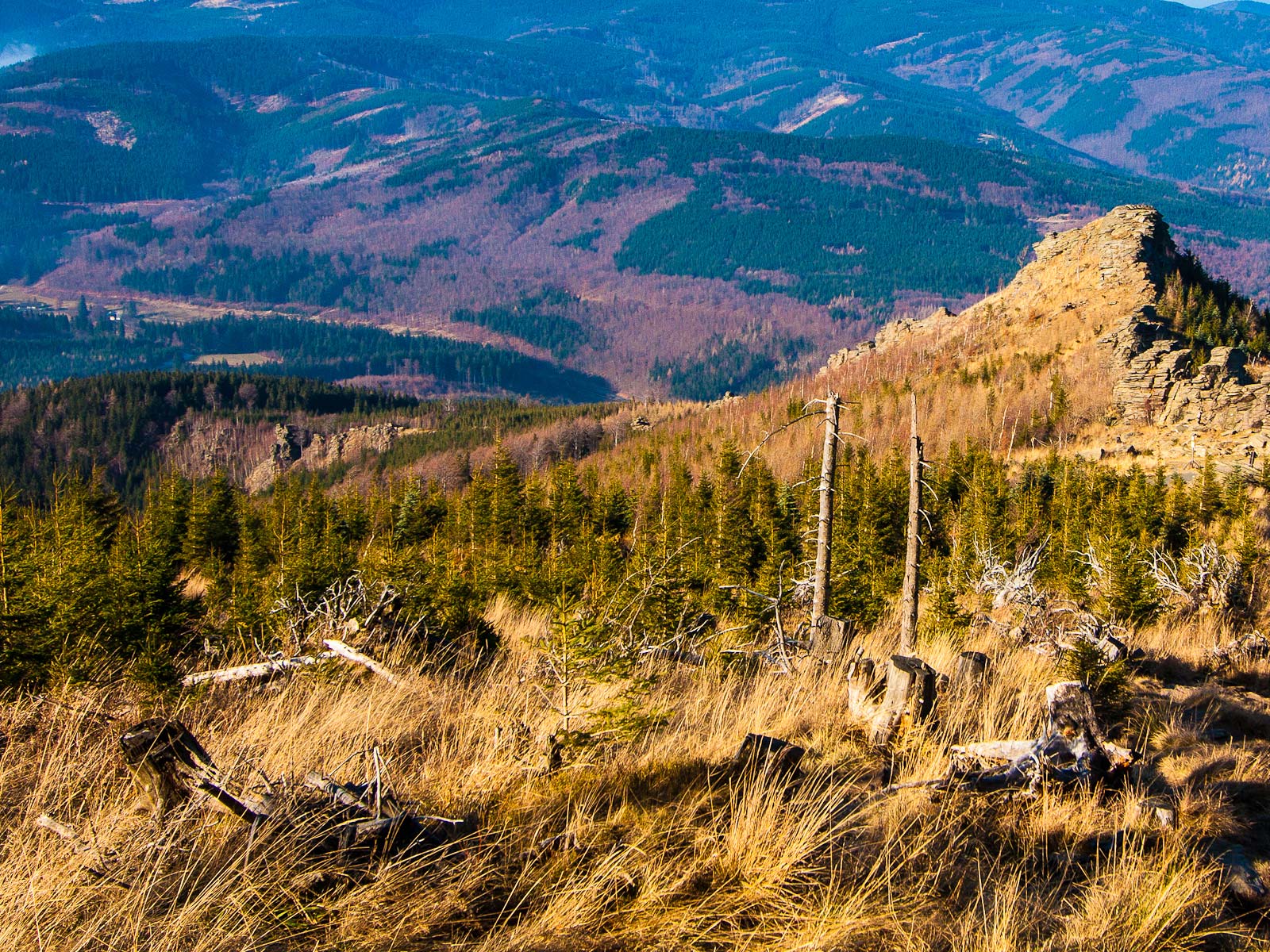 ilustrace na pozadí