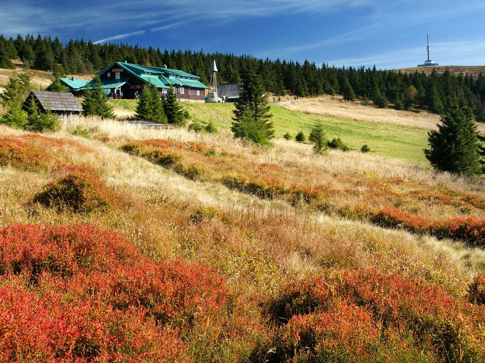 ilustrace na pozadí