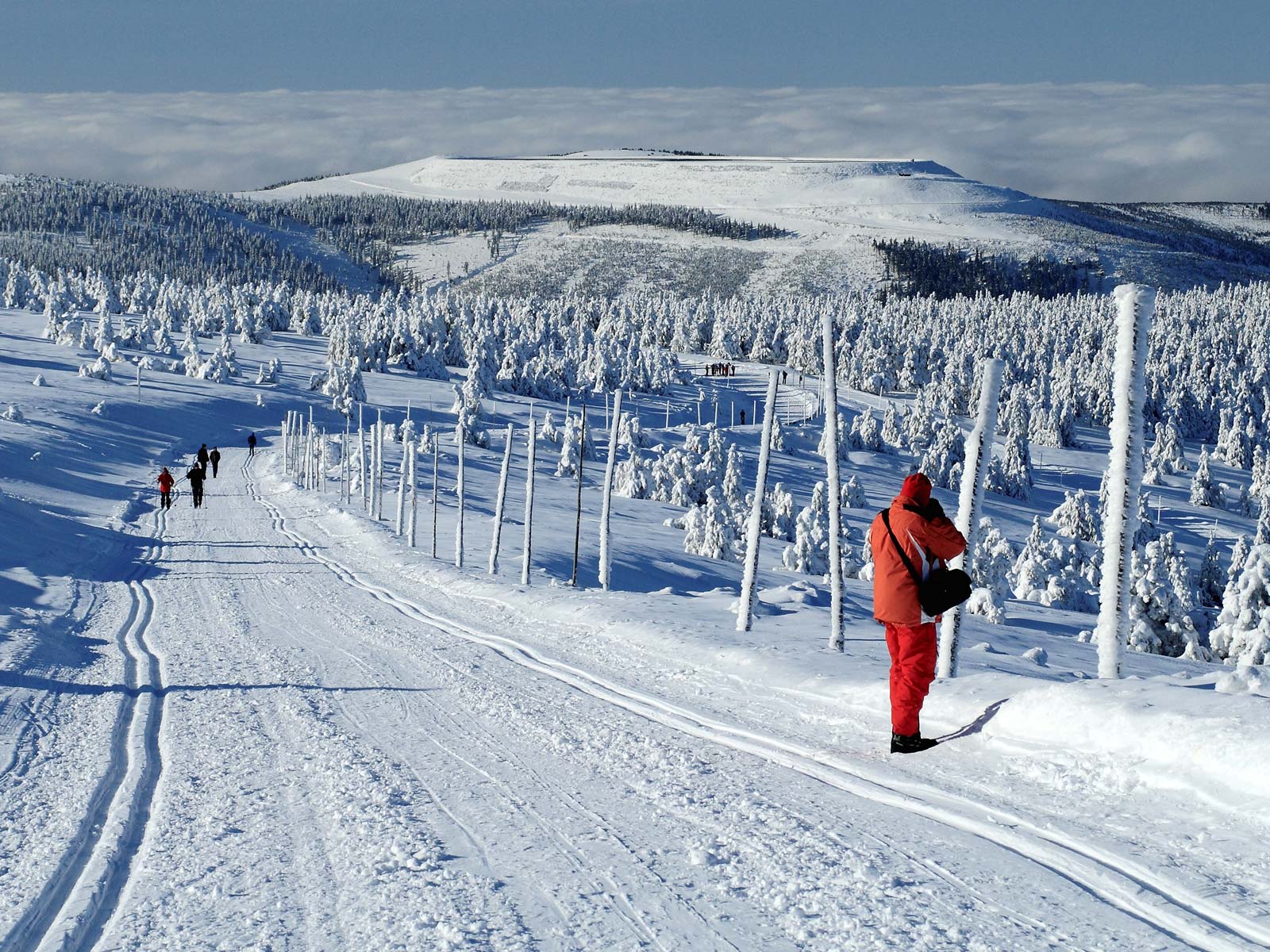 ilustrace na pozadí