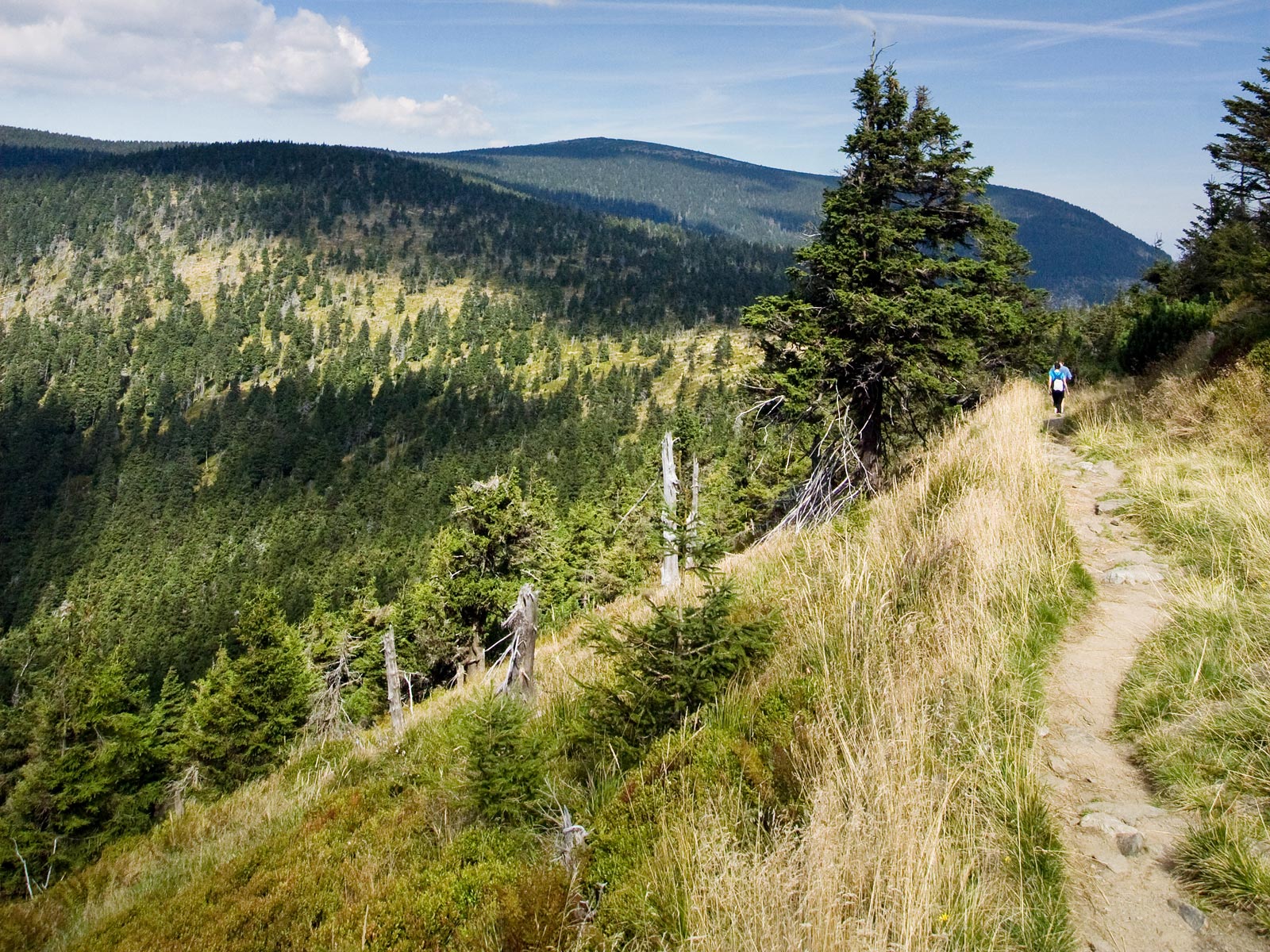 ilustrace na pozadí