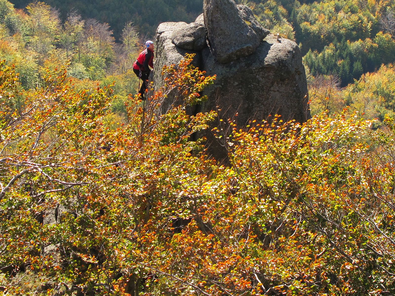 ilustrace na pozadí