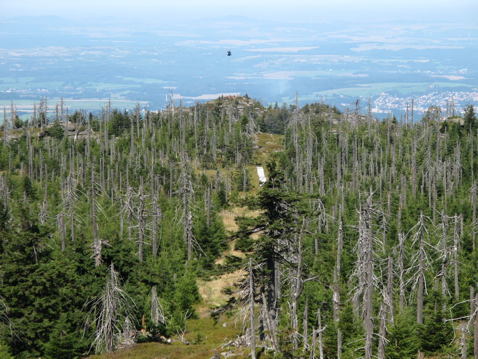 ilustrace na pozadí