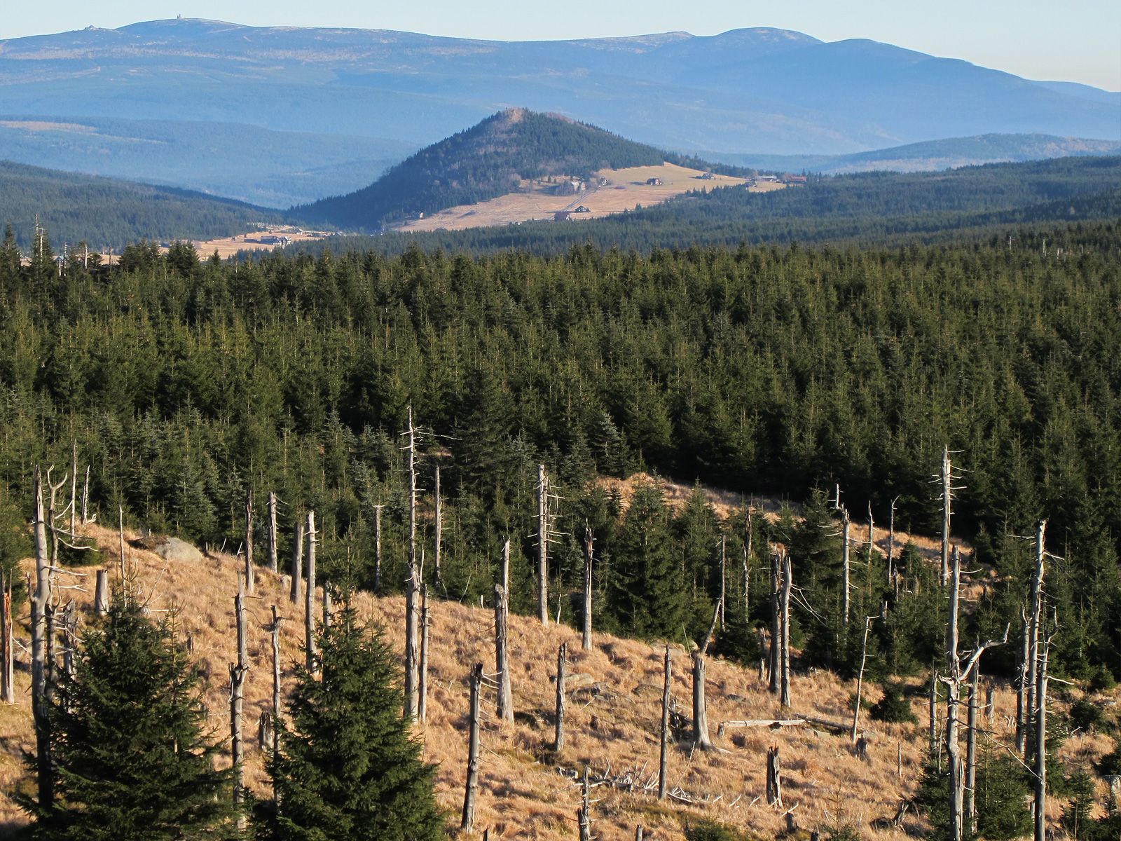 ilustrace na pozadí