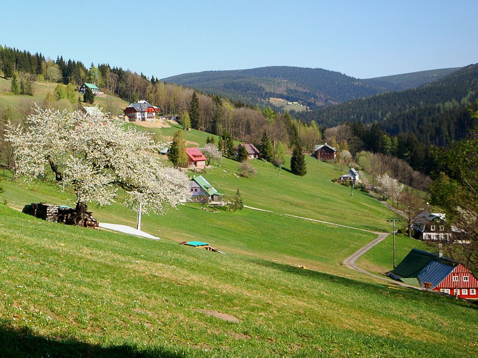 ilustrace na pozadí