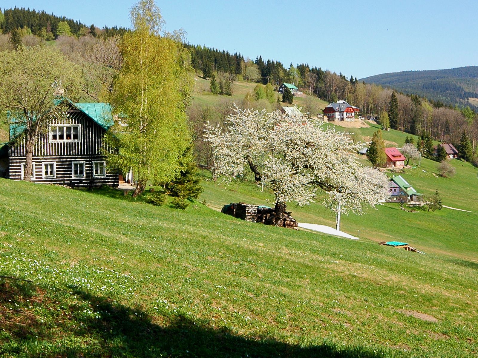 ilustrace na pozadí