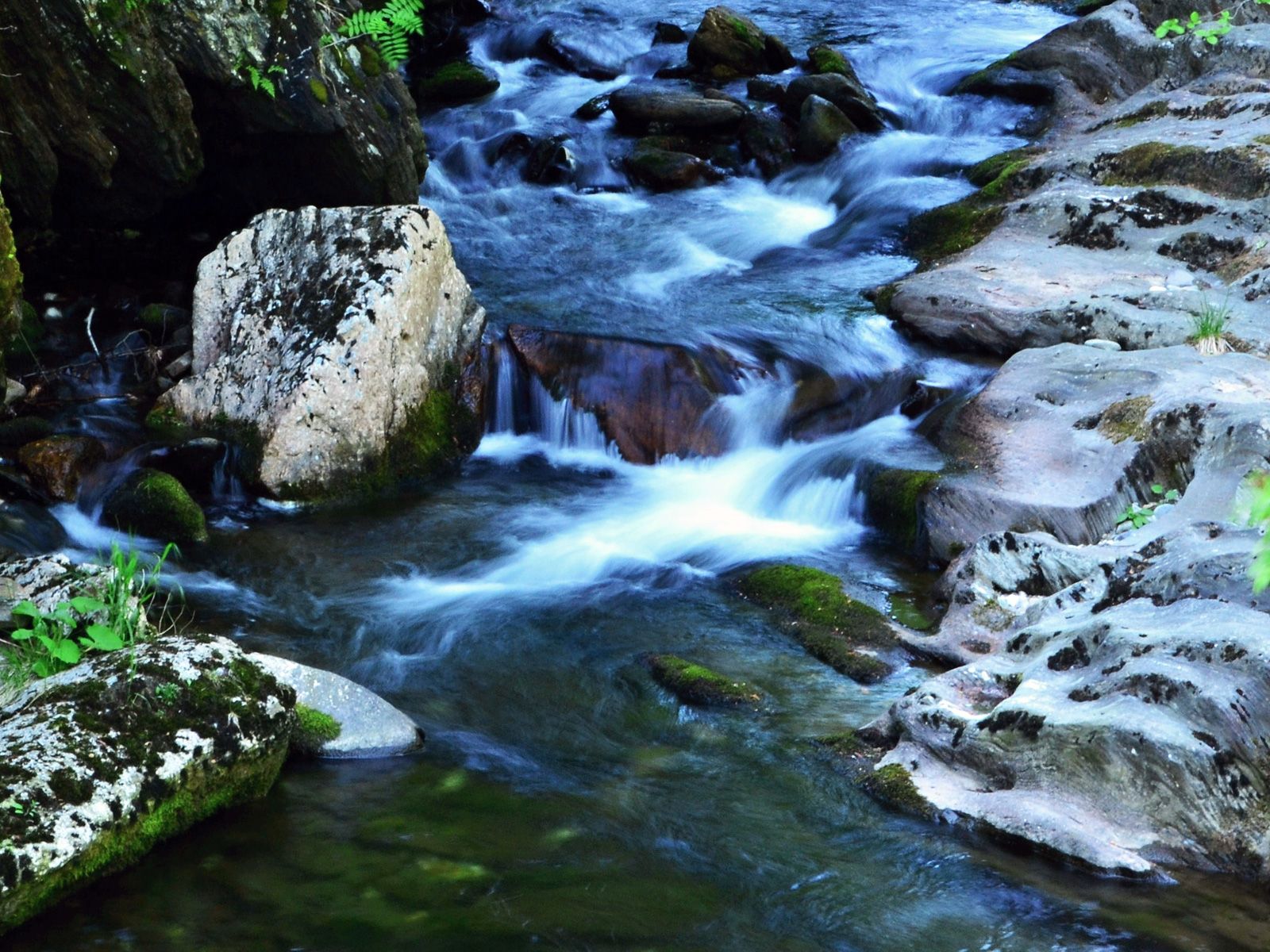 ilustrace na pozadí