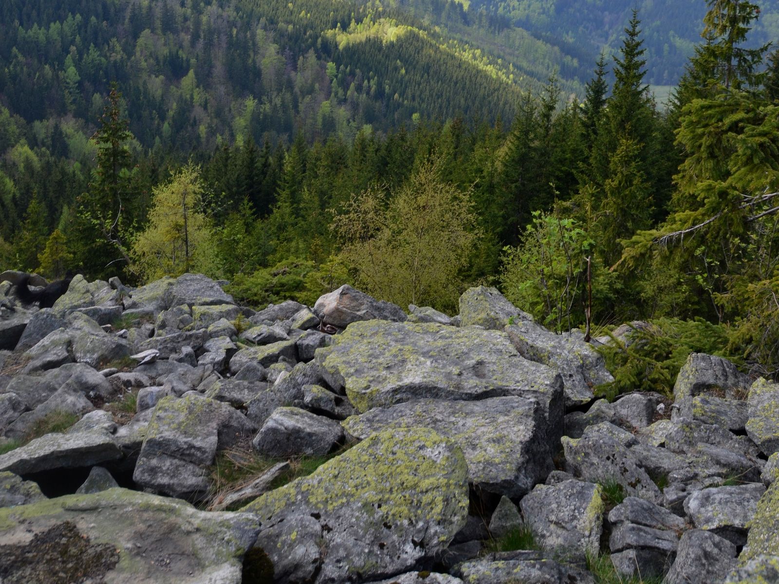 ilustrace na pozadí